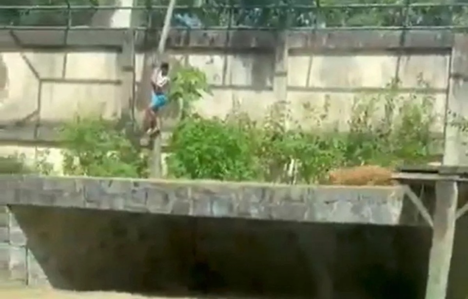 巴西男子在动物园翻墙闯狮舍,落地瞬间被母狮咬死 巴西男子在动物园翻墙闯狮舍,落地瞬间被母狮咬死